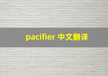 pacifier 中文翻译